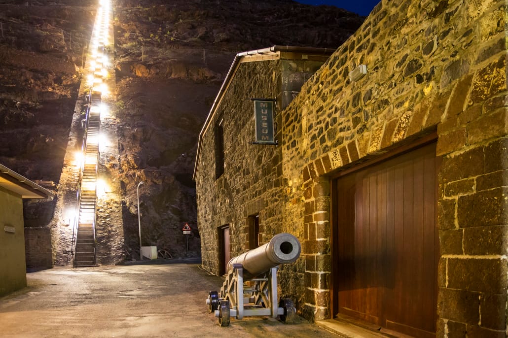 Mantis St Helena - Jacob Ladder - Des Jacobs Photography