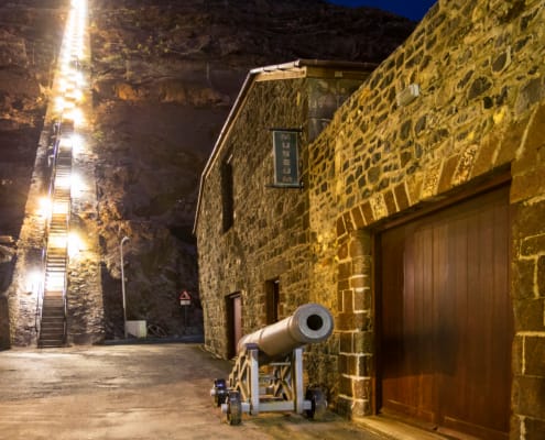 Mantis St Helena - Jacob Ladder - Des Jacobs Photography