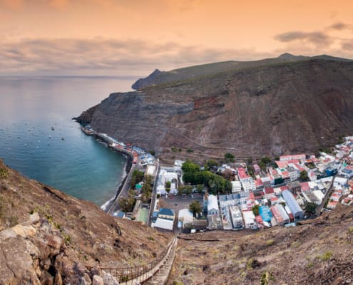 Mantis St Helena - St Helena Scenery - Des Jacobs Photography