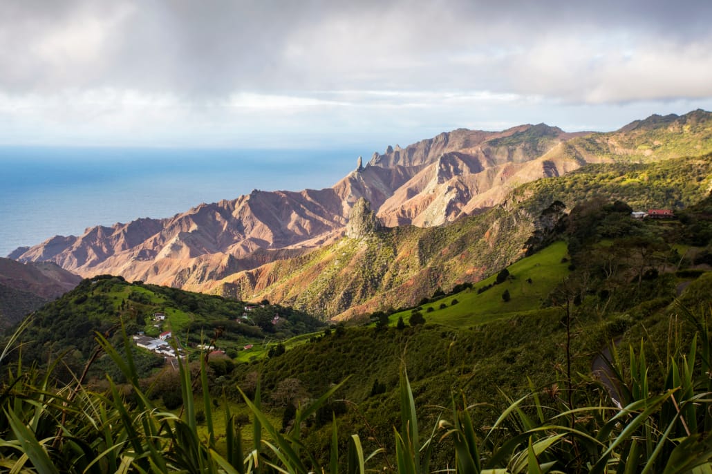 Mantis St Helena - St Helena Scenery - Des Jacobs Photography