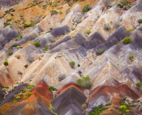 Mantis St Helena - St Helena Scenery - Des Jacobs Photography (3)