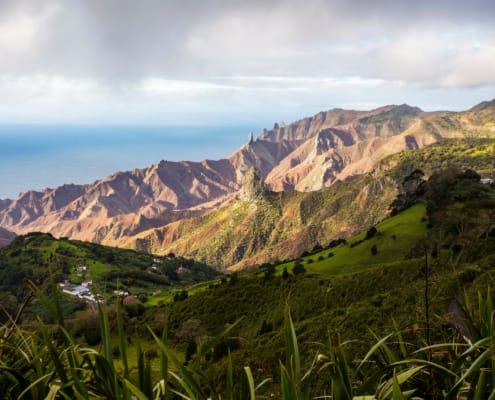 Mantis St Helena - St Helena Scenery - Des Jacobs Photography
