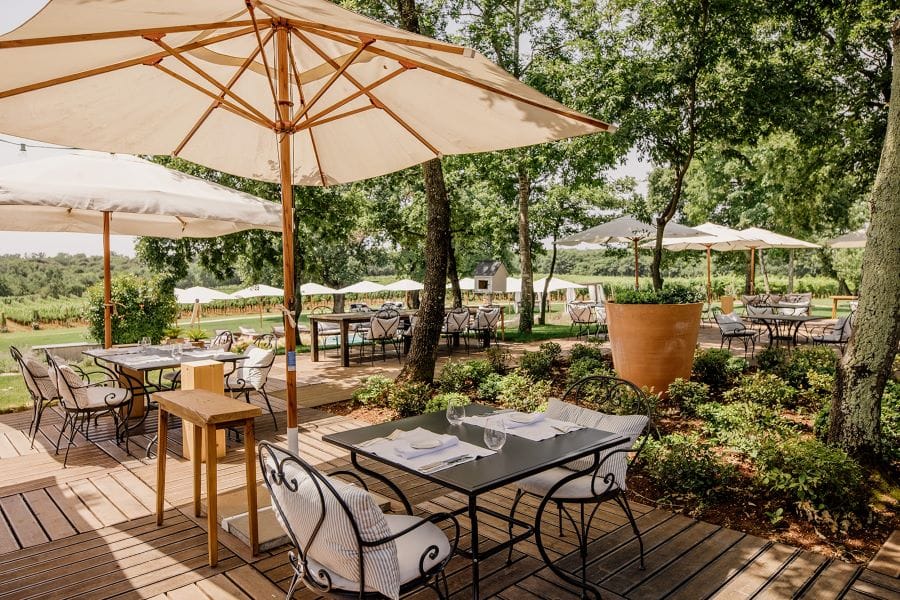 Meneghetti_Experience