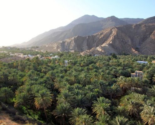 Oman - Vom Hadschar-Gebirge ins Weihrauchland