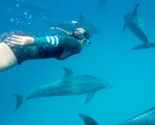 The Breakers - Delphin Tour