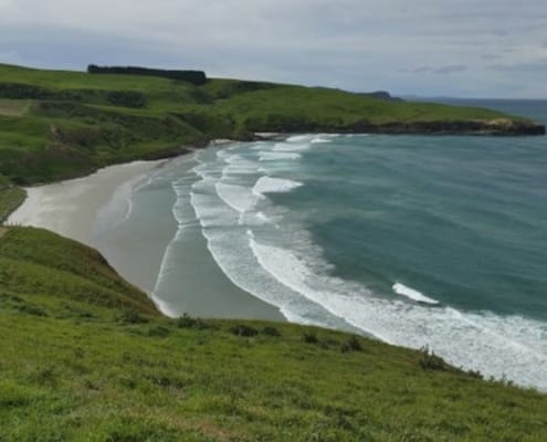 ferntouristik-unterwegs_Neuseeland_Dunedin_Otago-Halbinsel_Strand