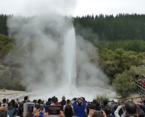 ferntouristik-unterwegs_Neuseeland_Geysir-Lady-Knox