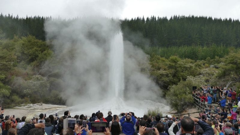ferntouristik-unterwegs_Neuseeland_Geysir-Lady-Knox