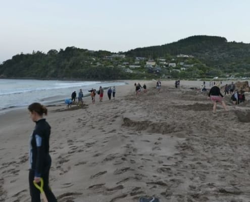 ferntouristik-unterwegs_Neuseeland_Hot-Water-Beach_Strand