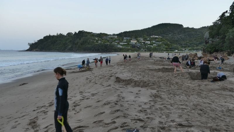 ferntouristik-unterwegs_Neuseeland_Hot-Water-Beach_Strand