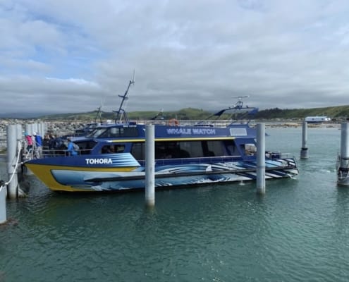 ferntouristik-unterwegs_Neuseeland_Kaikoura_Whale-watching_Boot