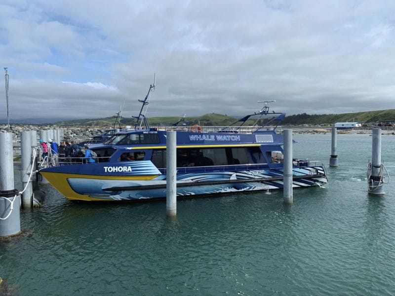 ferntouristik-unterwegs_Neuseeland_Kaikoura_Whale-watching_Boot