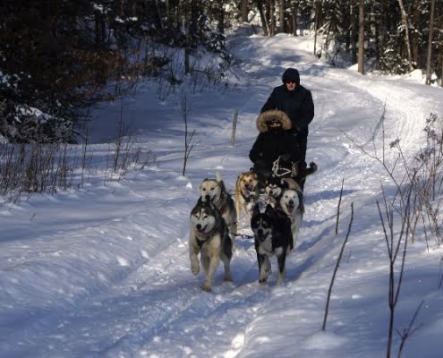 ferntouristik_Le Baluchon Éco-Villégiature_Hundeschlitten ferntouristik_Le Baluchon Éco-Villégiature_Hundeschlitten