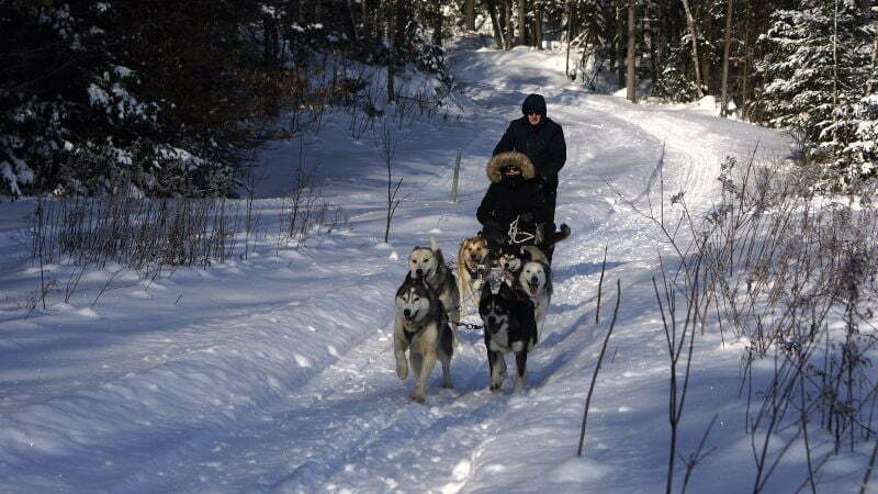ferntouristik_Le Baluchon Éco-Villégiature_Hundeschlitten ferntouristik_Le Baluchon Éco-Villégiature_Hundeschlitten