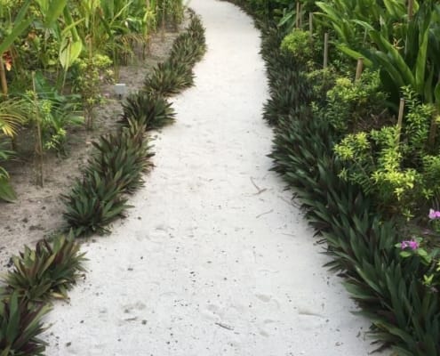 ferntouristik_unterwegs_Malediven_Raffles-Maldives-Meradhoo_Weg-zur-Villa-600x800