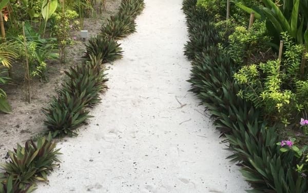 ferntouristik_unterwegs_Malediven_Raffles-Maldives-Meradhoo_Weg-zur-Villa-600x800