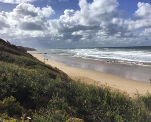 ferntouristik_unterwegs_Phillip-Island_Strand