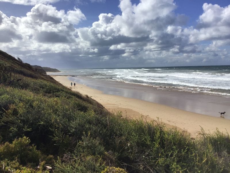 ferntouristik_unterwegs_Phillip-Island_Strand