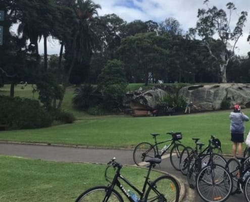 ferntouristik_unterwegs_Sydney_botanischer-Garten_Radtour-3