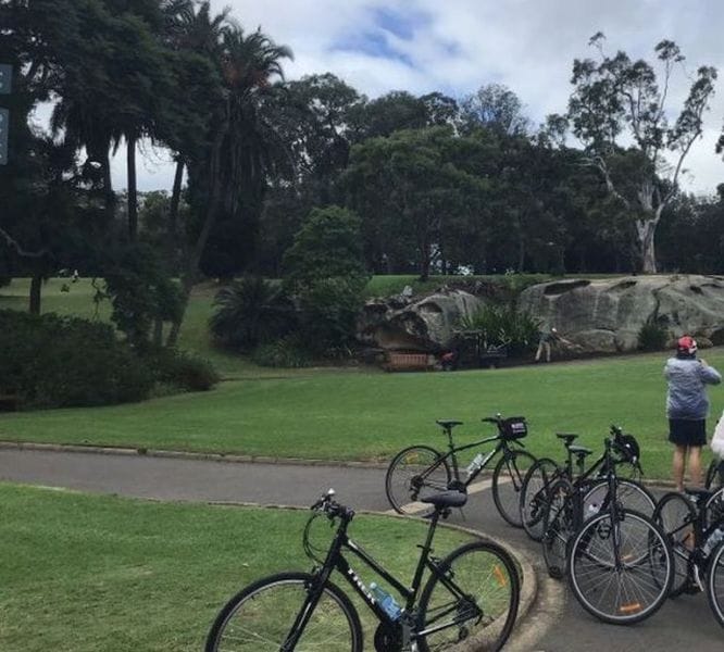 ferntouristik_unterwegs_Sydney_botanischer-Garten_Radtour-3