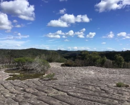 ferntouristik_unterwegs_blue-mountains