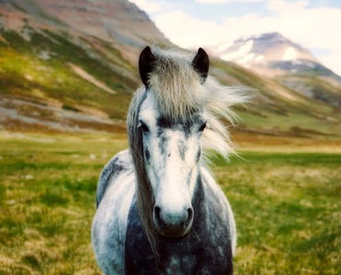 iceland-2420768_1280