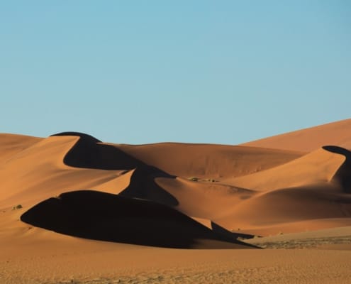 kuloser-desert-1628420
