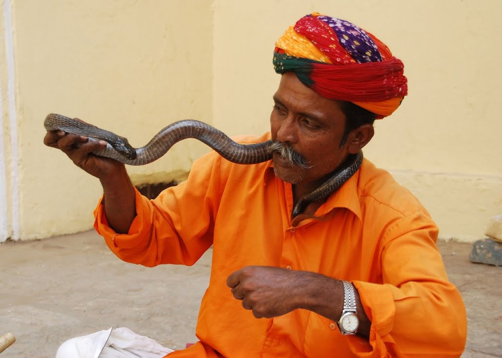 snake-charmer-jaipur-2755340_1280