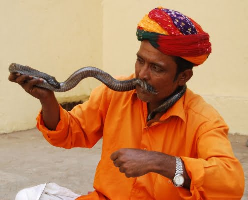 snake-charmer-jaipur-2755340_1280