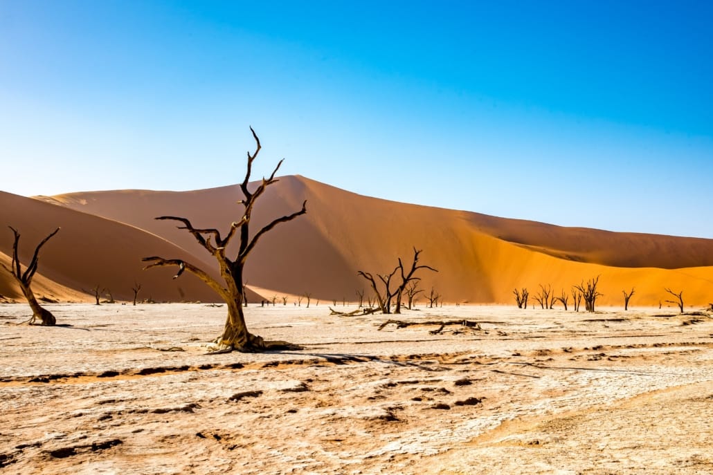 tonw-namibia-4790487 Namibia - Namib, Nationalparks und Victoriafälle