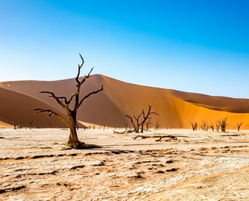 tonw-namibia-4790487 Namibia - Namib, Nationalparks und Victoriafälle